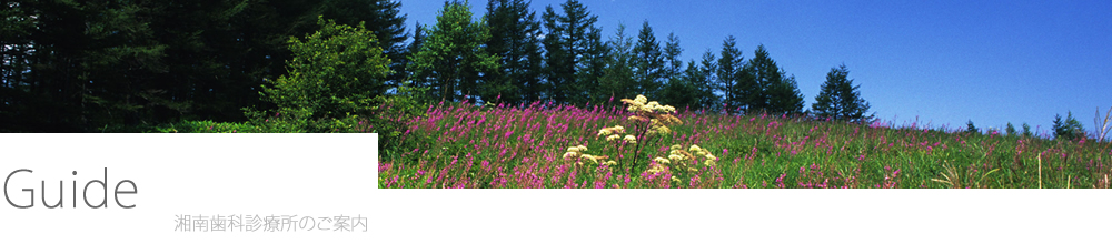 湘南歯科診療所のご案内